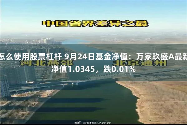 怎么使用股票杠杆 9月24日基金净值：万家玖盛A最新净值1.0345，跌0.01%