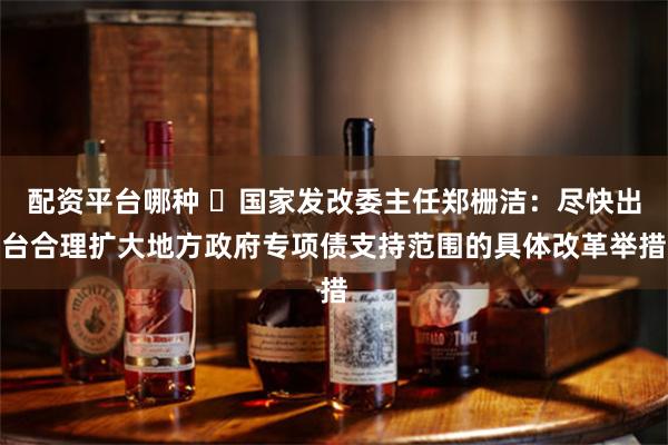 配资平台哪种 ​国家发改委主任郑栅洁：尽快出台合理扩大地方政府专项债支持范围的具体改革举措