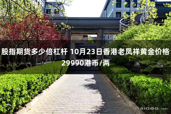 股指期货多少倍杠杆 10月23日香港老凤祥黄金价格29990港币/两