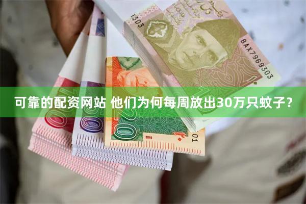 可靠的配资网站 他们为何每周放出30万只蚊子？