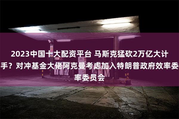 2023中国十大配资平台 马斯克猛砍2万亿大计添助手？对冲基金大佬阿克曼考虑加入特朗普政府效率委员会