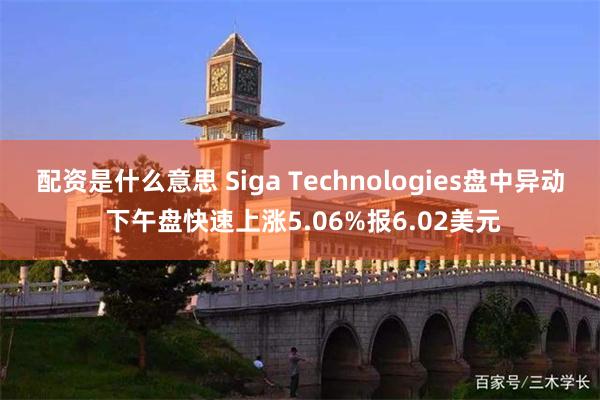 配资是什么意思 Siga Technologies盘中异动 下午盘快速上涨5.06%报6.02美元