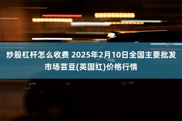 炒股杠杆怎么收费 2025年2月10日全国主要批发市场芸豆(英国红)价格行情